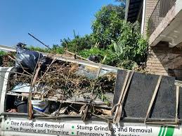 Trusted Brazoria, TX Junk Removal Services Experts