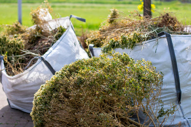 Best Shed Removal  in Brazoria, TX